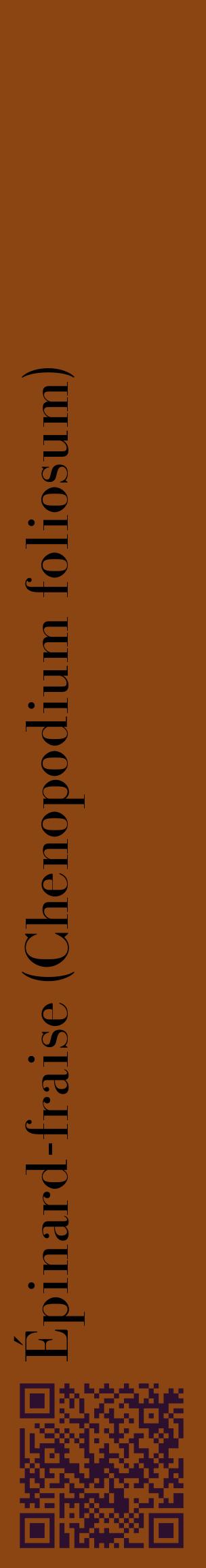 Étiquette de : Chenopodium foliosum - format c - style noire30_basiquebod avec qrcode et comestibilité