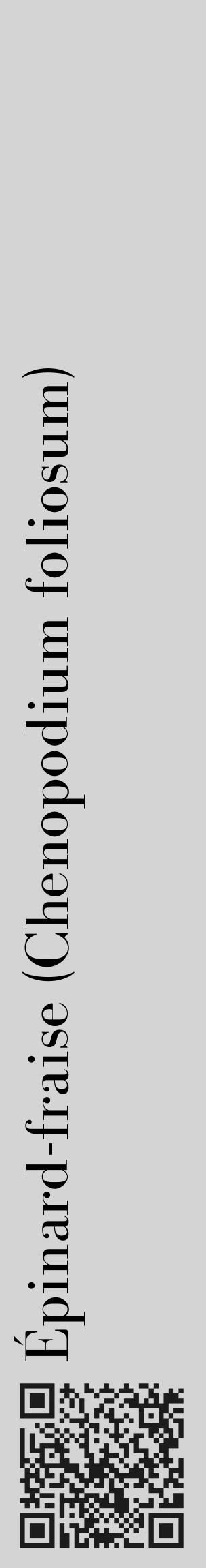 Étiquette de : Chenopodium foliosum - format c - style noire40_basique_basiquebod avec qrcode et comestibilité - position verticale