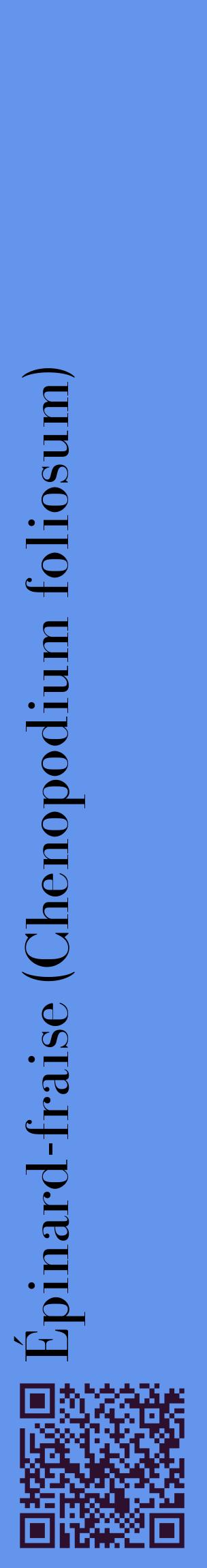 Étiquette de : Chenopodium foliosum - format c - style noire4_basiquebod avec qrcode et comestibilité