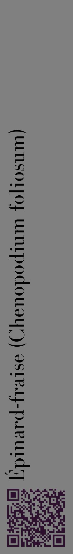Étiquette de : Chenopodium foliosum - format c - style noire57_basiquebod avec qrcode et comestibilité