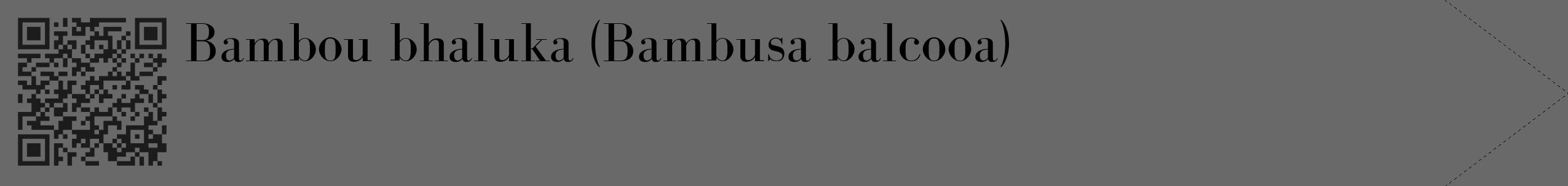 Étiquette de : Bambusa balcooa - format c - style noire11_simple_simplebod avec qrcode et comestibilité