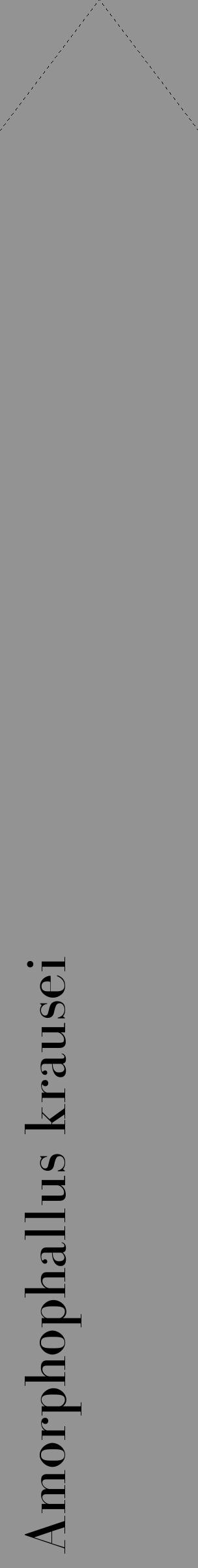 Étiquette de : Amorphophallus krausei - format c - style noire44_simple_simplebod avec comestibilité - position verticale