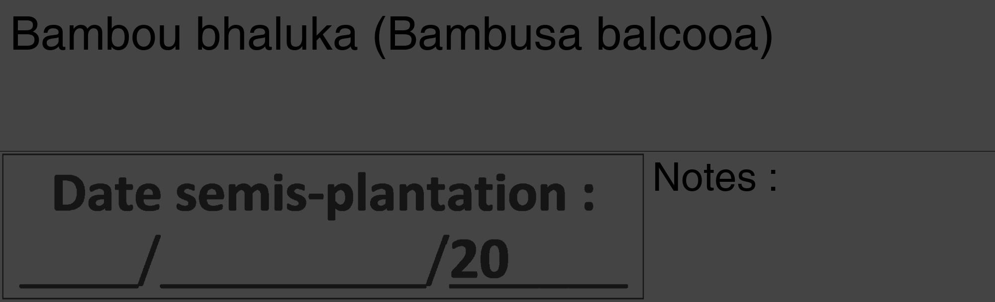 Étiquette de : Bambusa balcooa - format c - style noire48_basique_basiquehel avec comestibilité