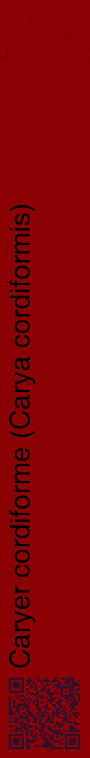 Étiquette de : Carya cordiformis - format c - style noire34_simplehel avec qrcode et comestibilité