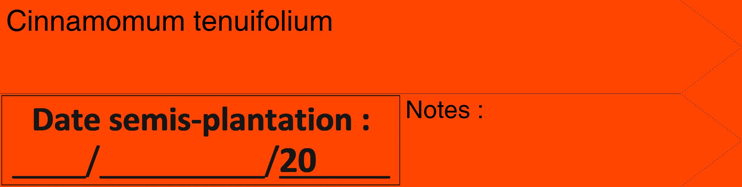 Étiquette de : Cinnamomum tenuifolium - format c - style noire26_simple_simplehel avec comestibilité