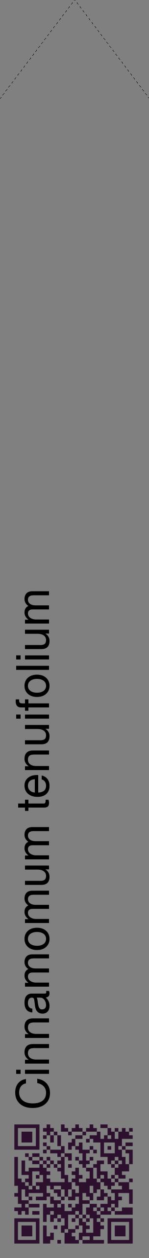 Étiquette de : Cinnamomum tenuifolium - format c - style noire57_simplehel avec qrcode et comestibilité