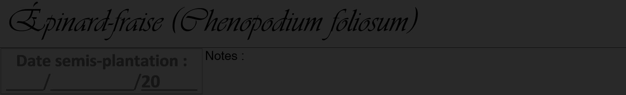 Étiquette de : Chenopodium foliosum - format a - style noire34viv avec comestibilité