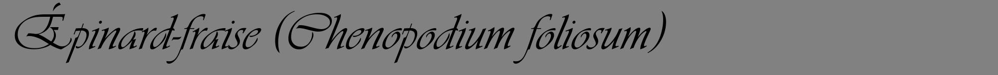 Étiquette de : Chenopodium foliosum - format a - style noire50viv avec comestibilité
