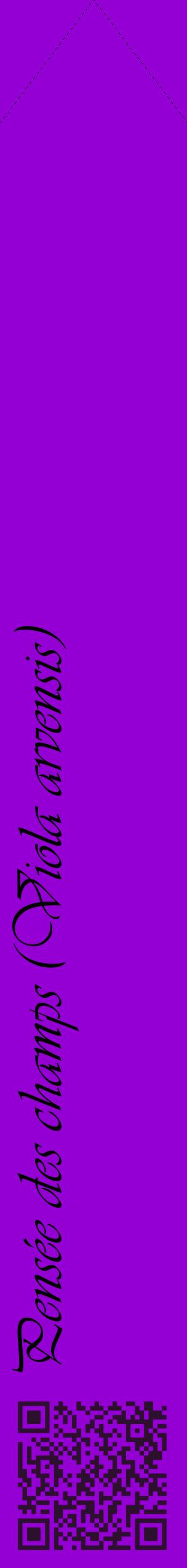 Étiquette de : Viola arvensis - format c - style noire48_simpleviv avec qrcode et comestibilité