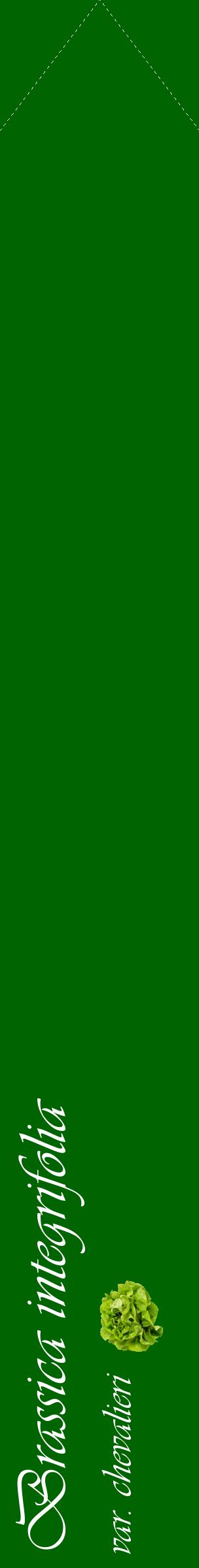 Étiquette de : Brassica integrifolia var. chevalieri - format c - style blanche8_simpleviv avec comestibilité simplifiée