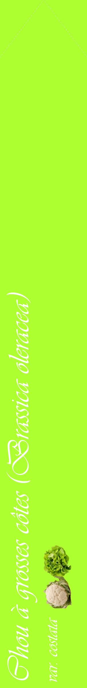 Étiquette de : Brassica oleracea var. costata - format c - style blanche17_simpleviv avec comestibilité simplifiée