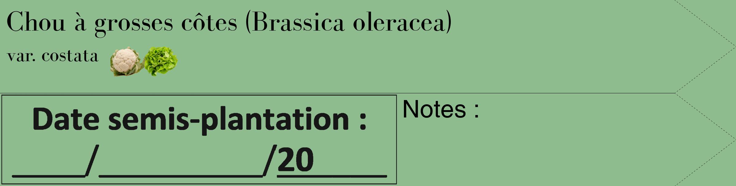 Étiquette de : Brassica oleracea var. costata - format c - style noire13_simple_simplebod avec comestibilité simplifiée