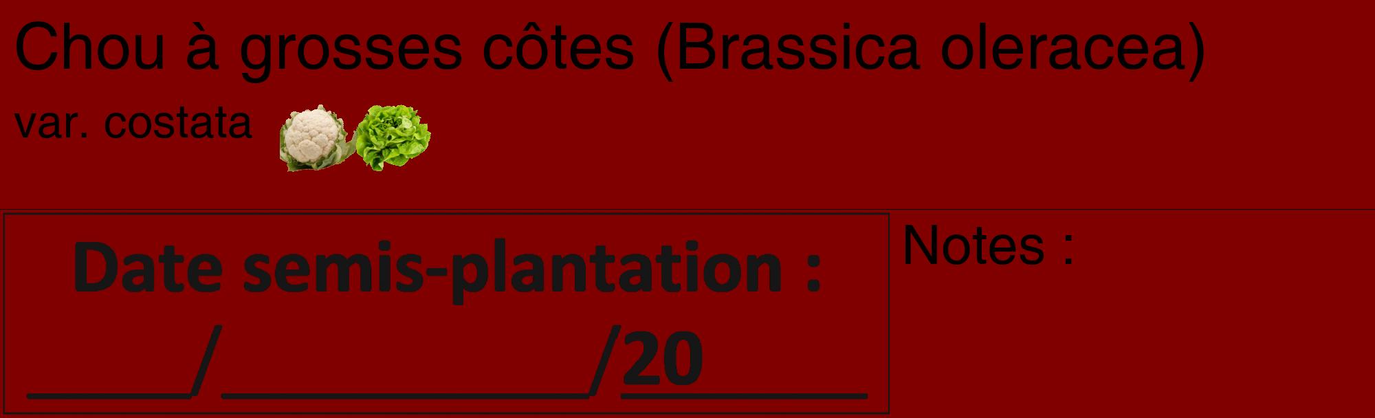 Étiquette de : Brassica oleracea var. costata - format c - style noire29_basique_basiquehel avec comestibilité simplifiée