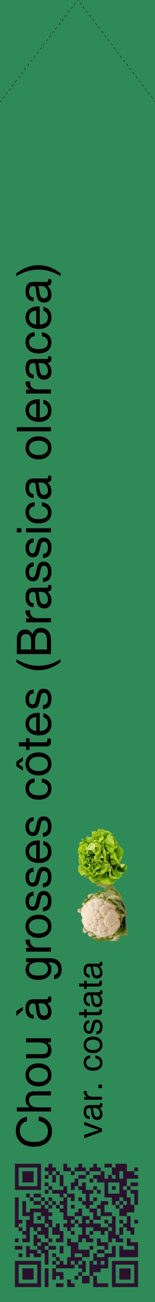 Étiquette de : Brassica oleracea var. costata - format c - style noire11_simplehel avec qrcode et comestibilité simplifiée