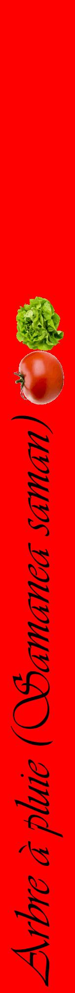 Étiquette de : Samanea saman - format a - style noire27viv avec comestibilité simplifiée