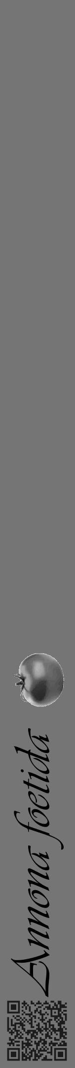 Étiquette de : Annona foetida - format a - style noire5viv avec qrcode et comestibilité simplifiée - position verticale