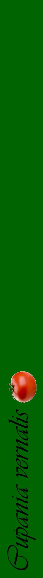 Étiquette de : Cupania vernalis - format a - style noire8viv avec comestibilité simplifiée