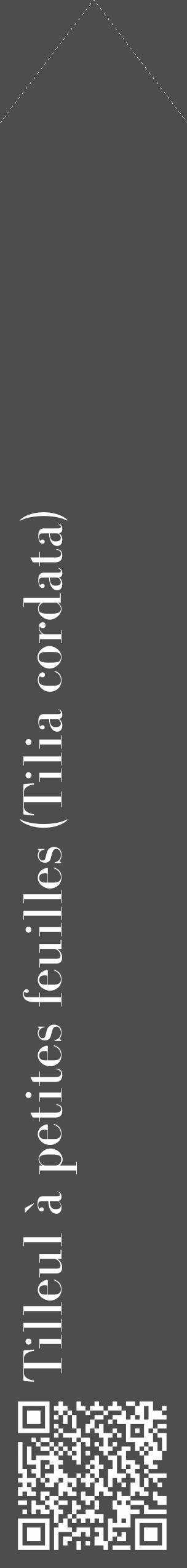 Étiquette de : Tilia cordata - format c - style blanche28_simple_simplebod avec qrcode et comestibilité - position verticale