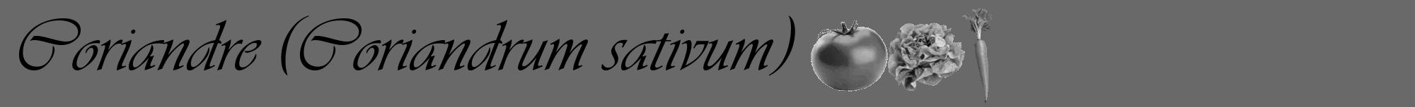 Étiquette de : Coriandrum sativum - format a - style noire11viv avec comestibilité simplifiée