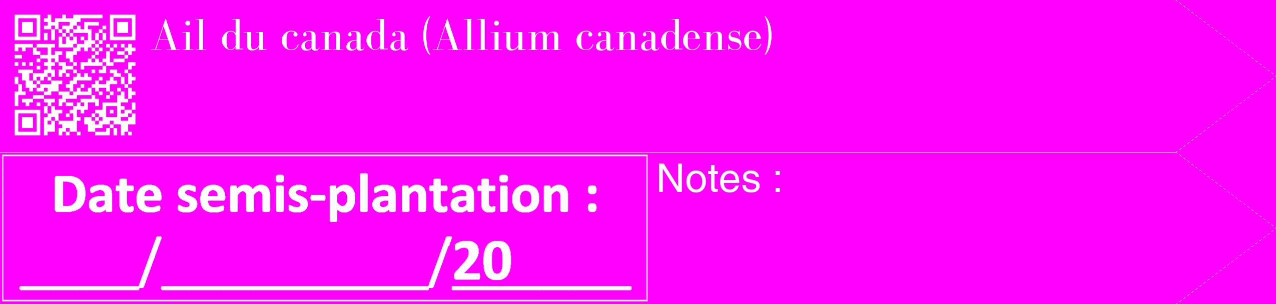 Étiquette de : Allium canadense - format c - style blanche51_simple_simplebod avec qrcode et comestibilité