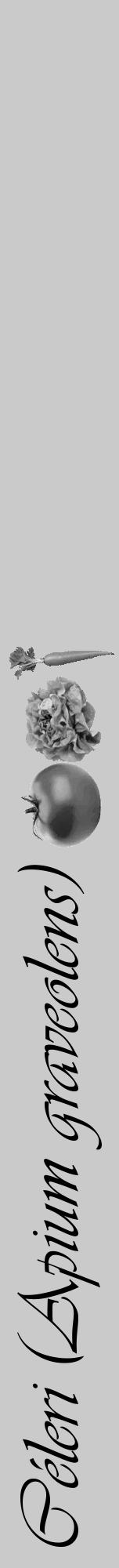 Étiquette de : Apium graveolens - format a - style noire21viv avec comestibilité simplifiée - position verticale