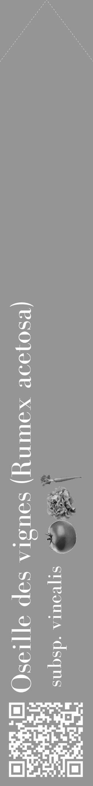 Étiquette de : Rumex acetosa subsp. vinealis - format c - style blanche16_simple_simplebod avec qrcode et comestibilité simplifiée - position verticale