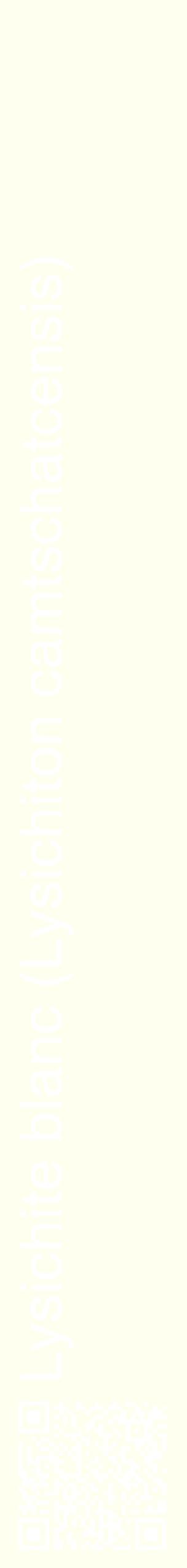 Étiquette de : Lysichiton camtschatcensis - format c - style blanche19_simplehel avec qrcode et comestibilité