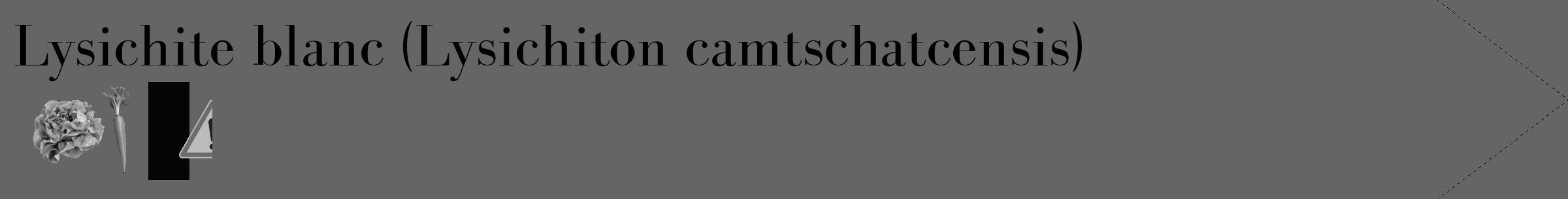 Étiquette de : Lysichiton camtschatcensis - format c - style noire32_simple_simplebod avec comestibilité simplifiée