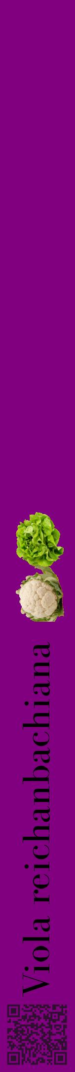 Étiquette de : Viola reichanbachiana - format a - style noire46bod avec qrcode et comestibilité simplifiée