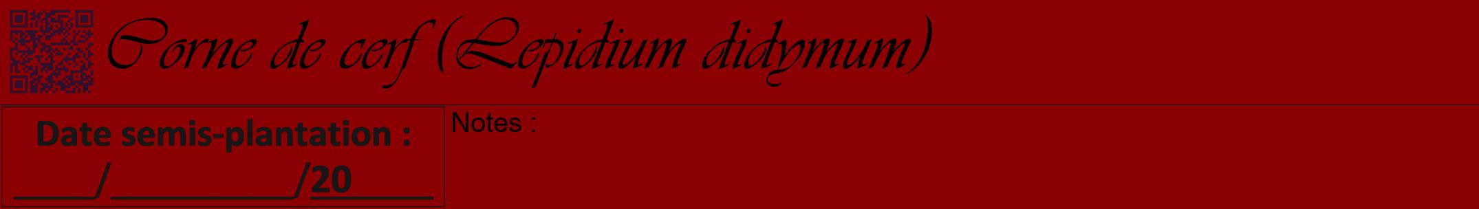 Étiquette de : Lepidium didymum - format a - style noire34viv avec qrcode et comestibilité