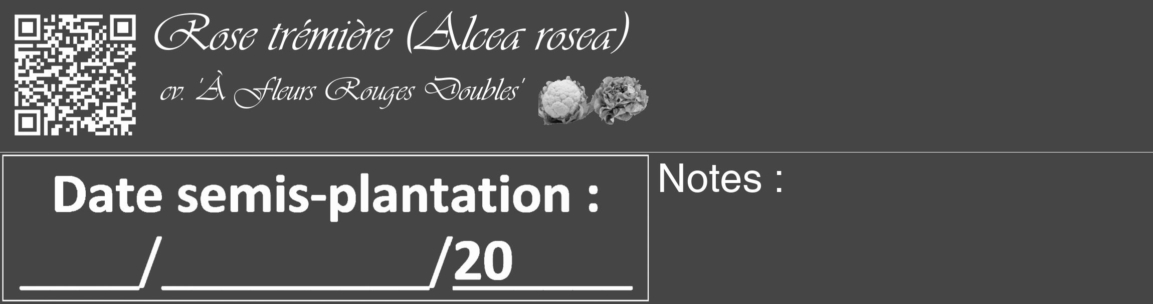 Étiquette de : Alcea rosea cv. 'À Fleurs Rouges Doubles' - format c - style blanche58_basique_basiqueviv avec qrcode et comestibilité simplifiée