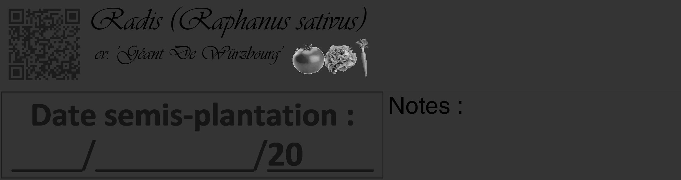 Étiquette de : Raphanus sativus cv. 'Géant De Würzbourg' - format c - style noire46_basique_basiqueviv avec qrcode et comestibilité simplifiée