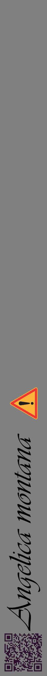 Étiquette de : Angelica montana - format a - style noire57viv avec qrcode et comestibilité simplifiée