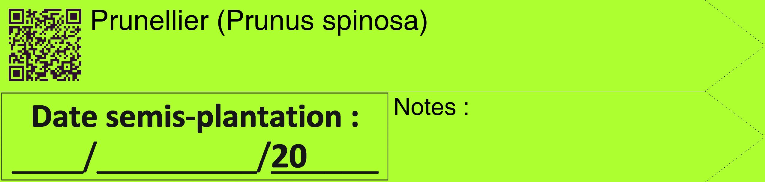 Étiquette de : Prunus spinosa - format c - style noire17_simple_simplehel avec qrcode et comestibilité
