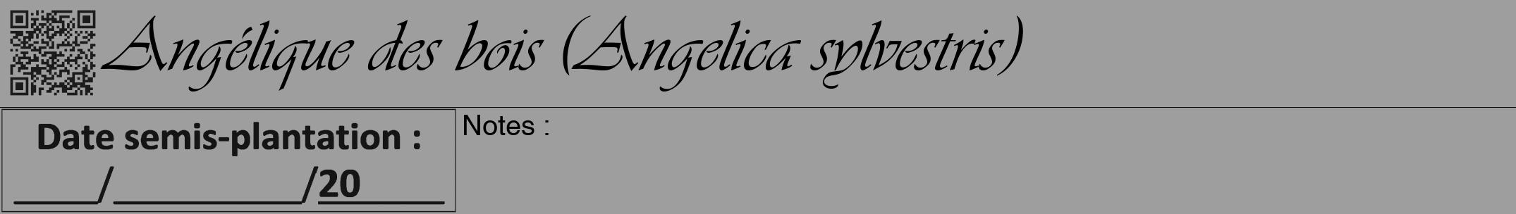 Étiquette de : Angelica sylvestris - format a - style noire23simpleviv avec qrcode et comestibilité