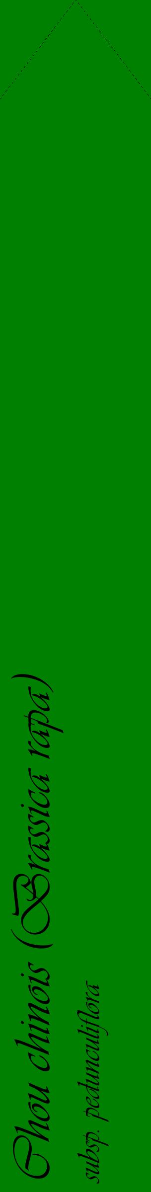 Étiquette de : Brassica rapa subsp. pedunculiflora - format c - style noire9_simpleviv avec comestibilité
