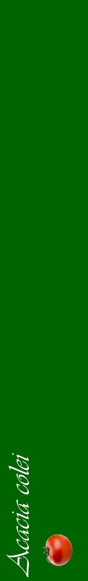 Étiquette de : Acacia colei - format c - style blanche8_basiqueviv avec comestibilité simplifiée