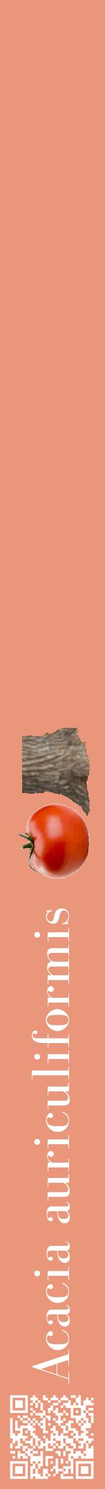 Étiquette de : Acacia auriculiformis - format a - style blanche37bod avec qrcode et comestibilité simplifiée