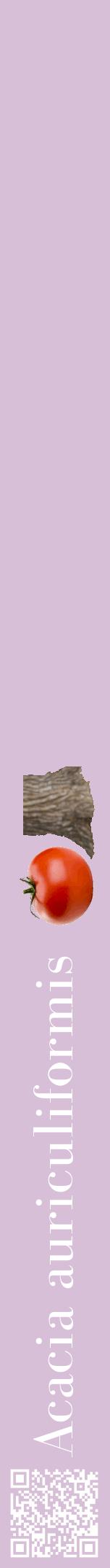 Étiquette de : Acacia auriculiformis - format a - style blanche54bod avec qrcode et comestibilité simplifiée