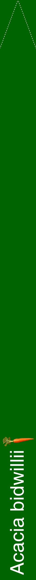 Étiquette de : Acacia bidwillii - format b - style blanche8hel avec comestibilité simplifiée