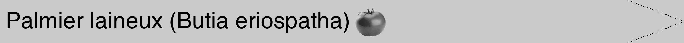 Étiquette de : Butia eriospatha - format b - style noire21hel avec comestibilité simplifiée