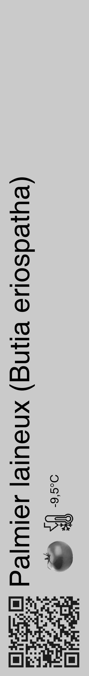 Étiquette de : Butia eriospatha - format c - style noire21_basique_basiquehel avec qrcode et comestibilité simplifiée - position verticale