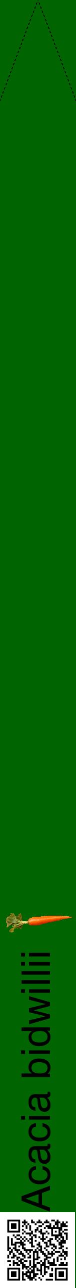 Étiquette de : Acacia bidwillii - format b - style noire8hel avec qrcode et comestibilité simplifiée