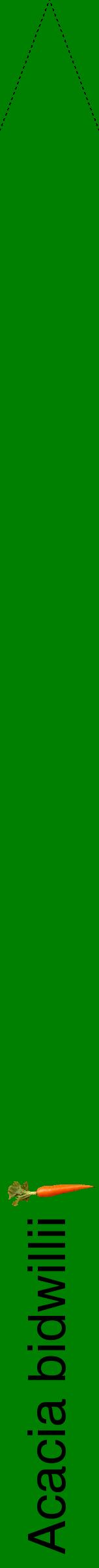 Étiquette de : Acacia bidwillii - format b - style noire9hel avec comestibilité simplifiée