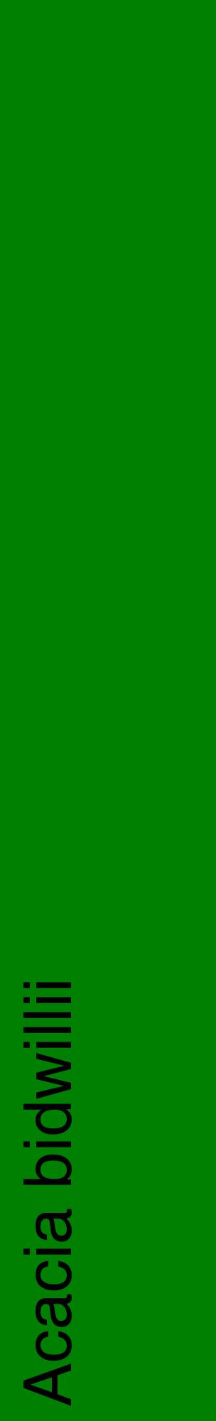Étiquette de : Acacia bidwillii - format c - style noire9_basiquehel avec comestibilité