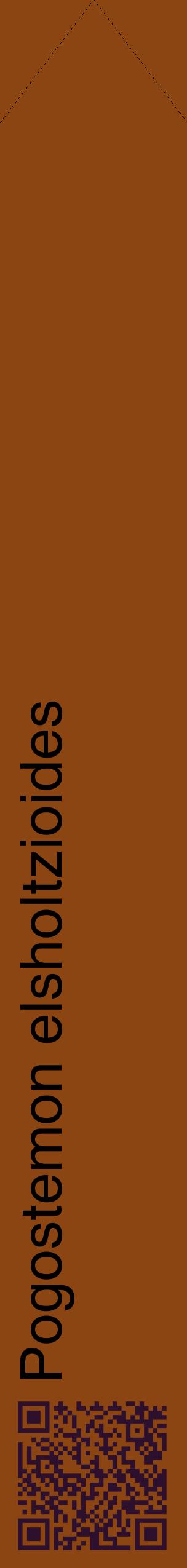 Étiquette de : Pogostemon elsholtzioides - format c - style noire30_simplehel avec qrcode et comestibilité