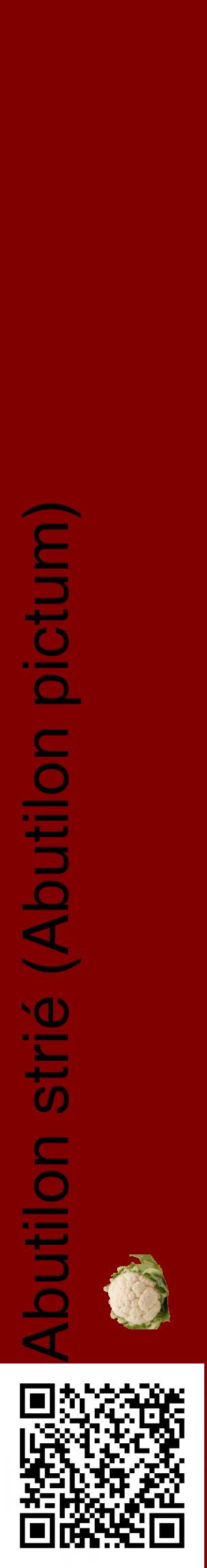 Étiquette de : Abutilon pictum - format c - style noire29_basiquehel avec qrcode et comestibilité simplifiée