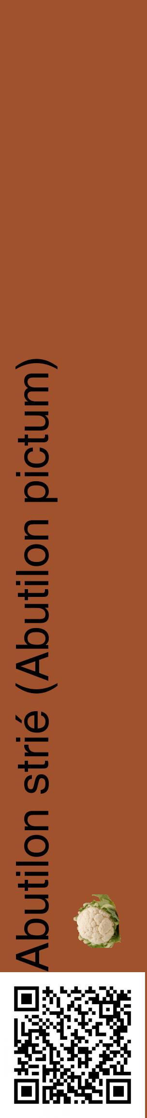 Étiquette de : Abutilon pictum - format c - style noire32_basiquehel avec qrcode et comestibilité simplifiée