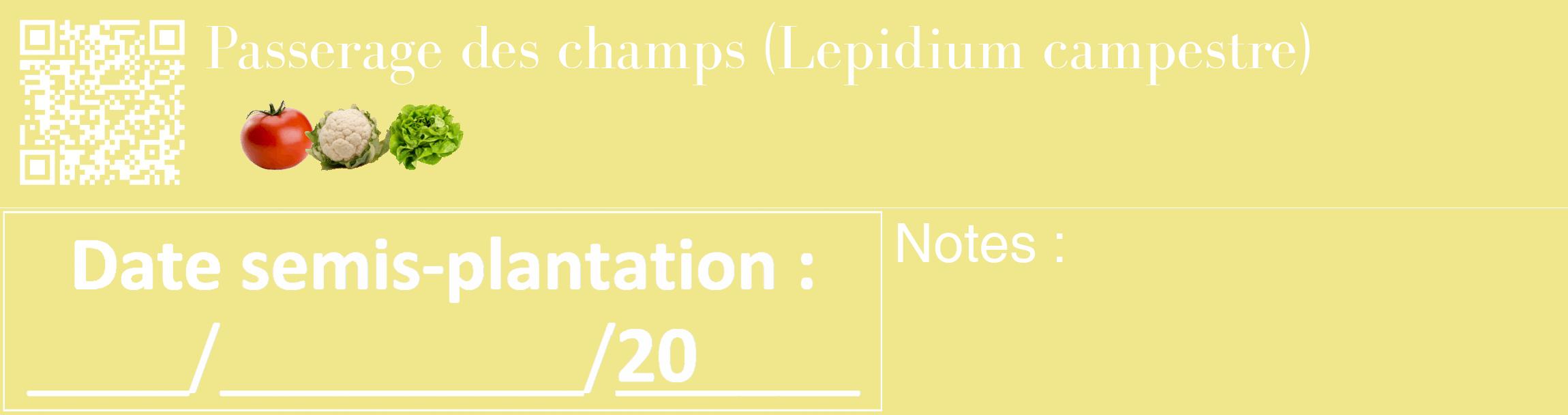 Étiquette de : Lepidium campestre - format c - style blanche20_basique_basiquebod avec qrcode et comestibilité simplifiée
