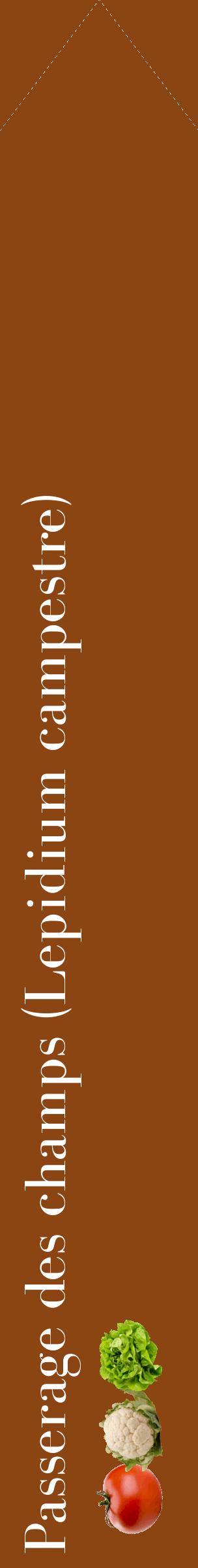 Étiquette de : Lepidium campestre - format c - style blanche30_simplebod avec comestibilité simplifiée